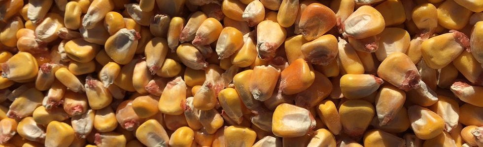 Arable Solutions Ltd